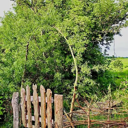 Apartment Hofboddenblick *