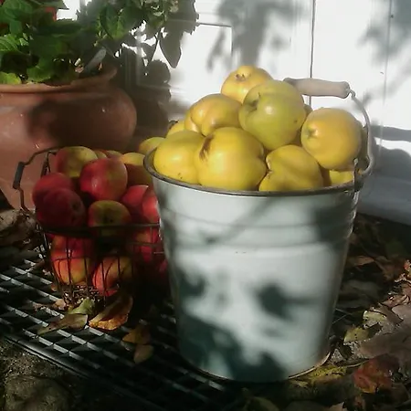 Appartement Hofboddenblick