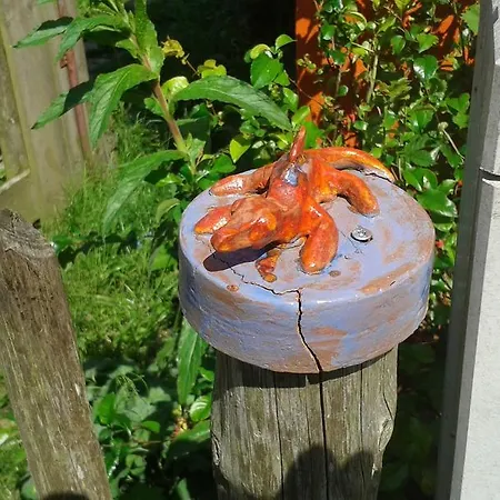 Hofboddenblick Apartment *