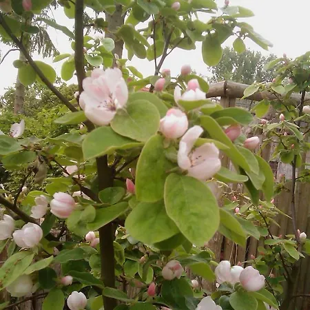 Appartement Hofboddenblick